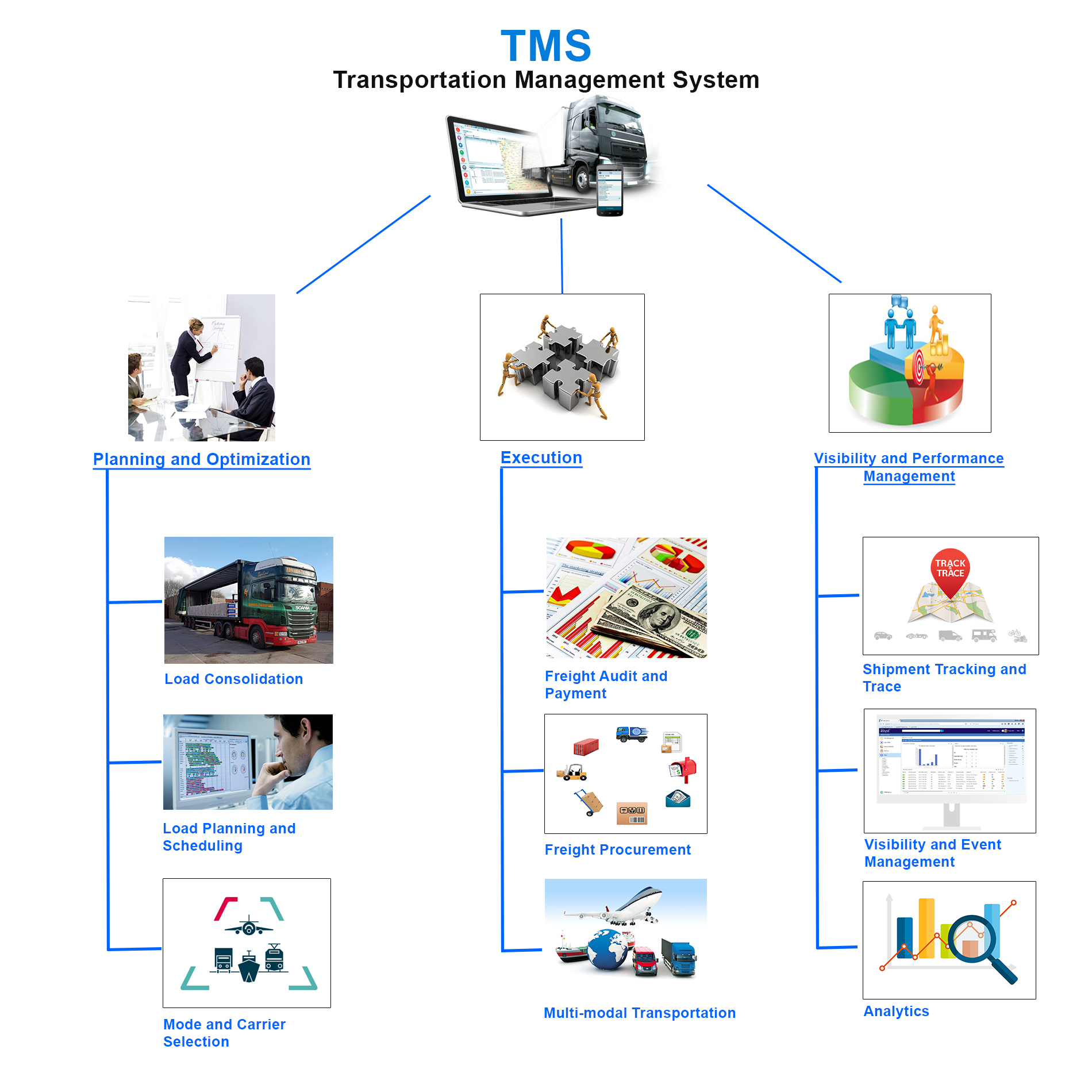 Transport Management Structure